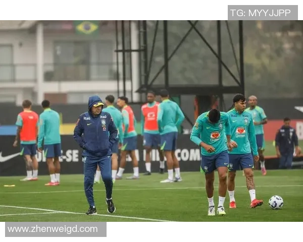 巴西足球队球星排名榜揭秘 热门球员实力对比分析