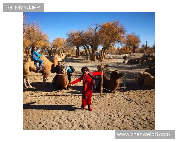 手办球星足球热潮席卷全球 追逐梦想与收藏的完美结合 手办球星足球热潮席卷全球 追逐梦想与收藏的完美结合